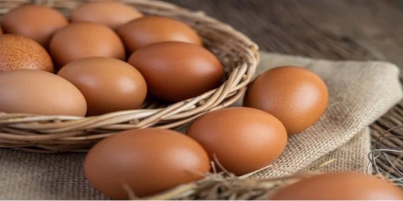 Trứng gà đực và sản phẩm từ nó được sử dụng trong thức ăn cho cá cảnh