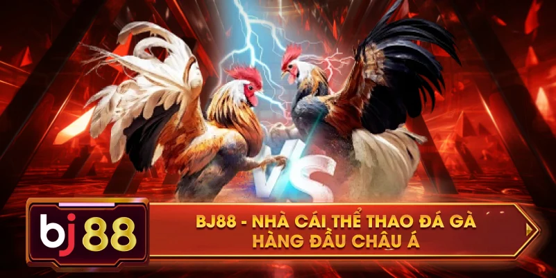 BJ88 là nhà cái đá gà số 1 châu Á hiện nay