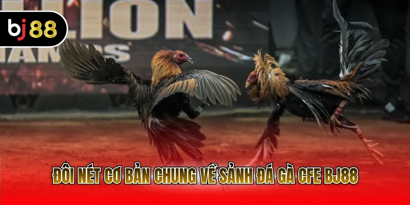 Đôi nét cơ bản chung về sảnh đá gà CFE BJ88